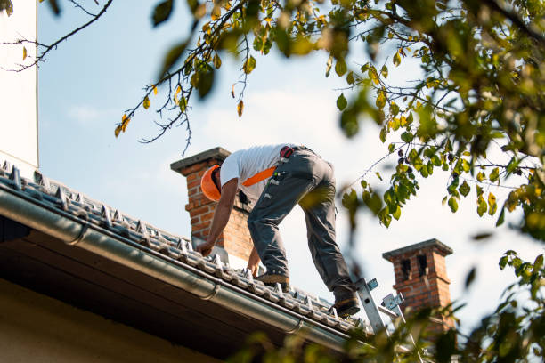 Best Storm Damage Roof Repair  in Lake Wildwood, CA