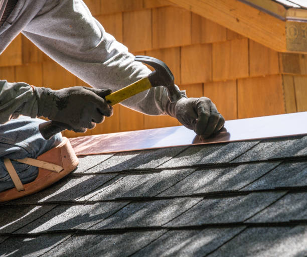 Roof Gutter Cleaning in Lake Wildwood, CA